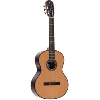 Pleyel Guitare Classique 